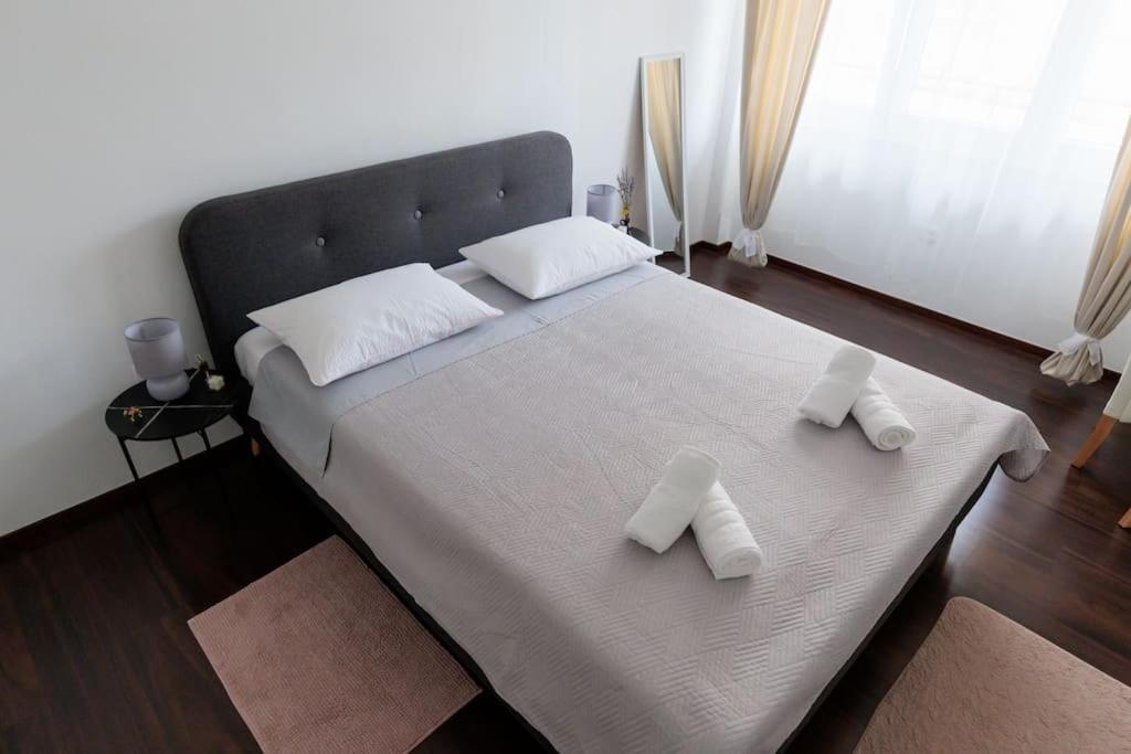 Apartment Dominicus Zadar Exterior photo
